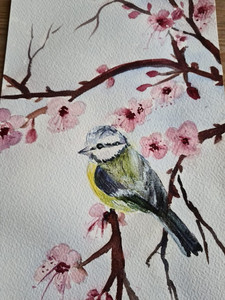 Christine M, Blue Tit on Cherry blossom, mixed media.jpg